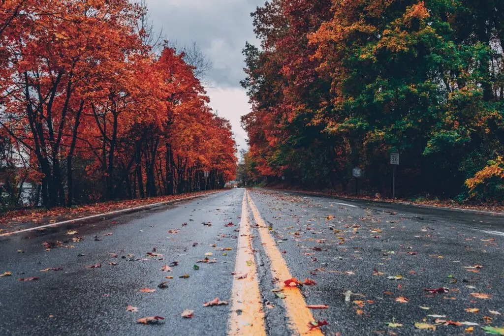 Route de campagne bordée d’arbres aux couleurs d’automne